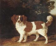 George Stubbs Dog Sweden oil painting artist